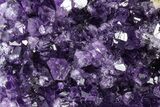 Free-Standing Amethyst Crystal Cluster - Uruguay #371606-1